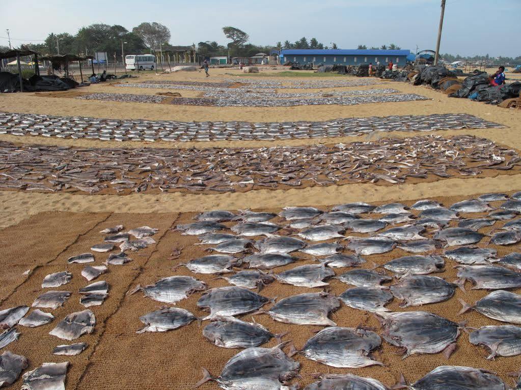 Zand Negombo Ettukala 외부 사진